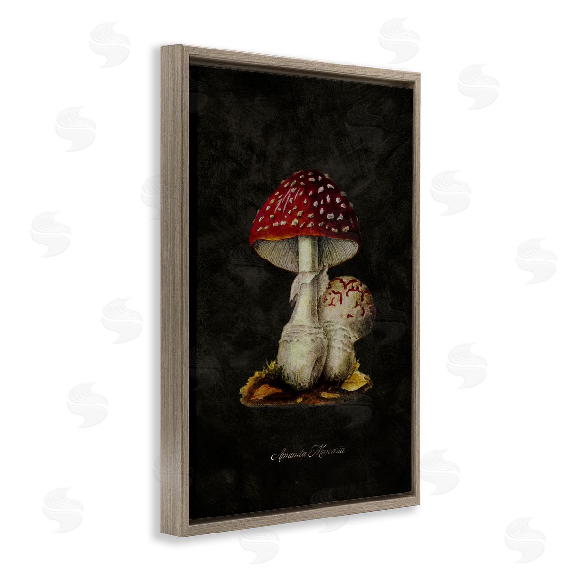 Tina Higgins Designs Inc. Rustic Mushroom Pair Brown Floating Frame Canvas Wall Art Print