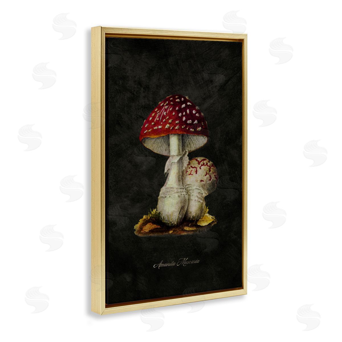 Tina Higgins Designs Inc. Rustic Mushroom Pair Gold Floating Frame Canvas Wall Art Print