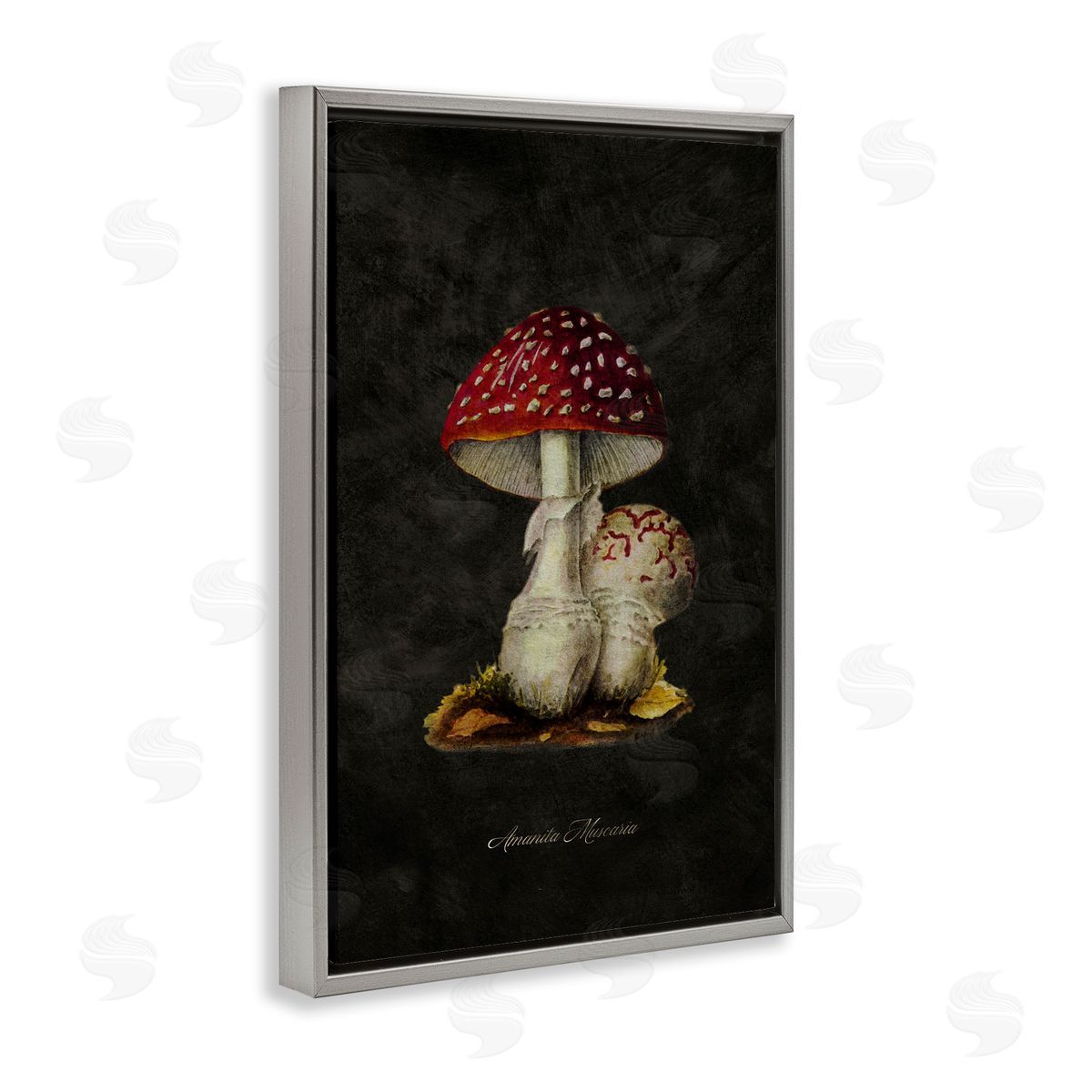 Tina Higgins Designs Inc. Rustic Mushroom Pair Gray Floating Frame Canvas Wall Art Print