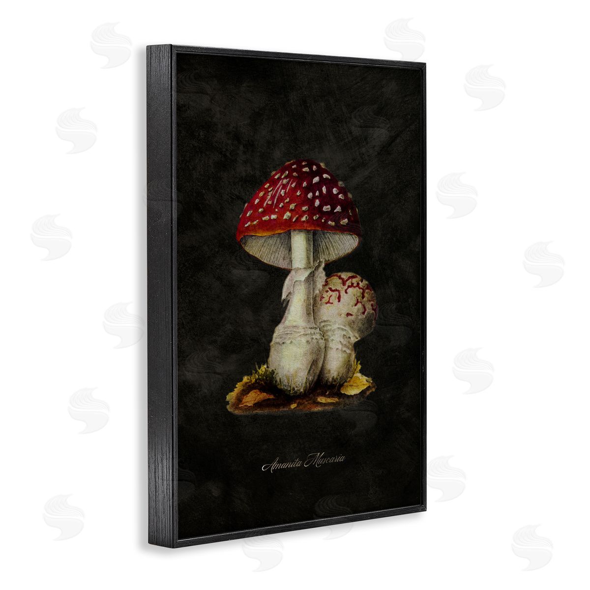 Tina Higgins Designs Inc. Rustic Mushroom Pair Black Framed Giclee Wall Art Print