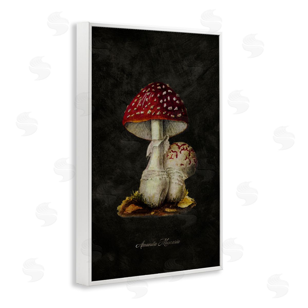 Tina Higgins Designs Inc. Rustic Mushroom Pair White Framed Giclee Wall Art Print