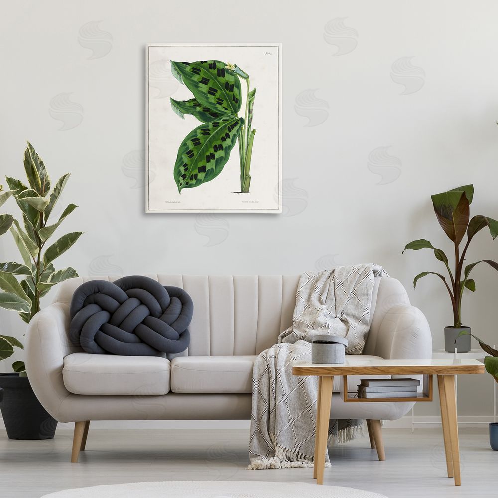 Tina Higgins Designs Inc. Lush Plant Leaf Study Canvas Wall Art Print in Room