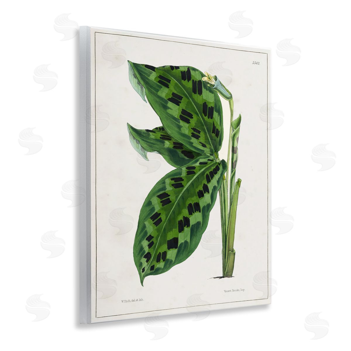 Tina Higgins Designs Inc. Lush Plant Leaf Study Wooden Wall Plaque Art Print