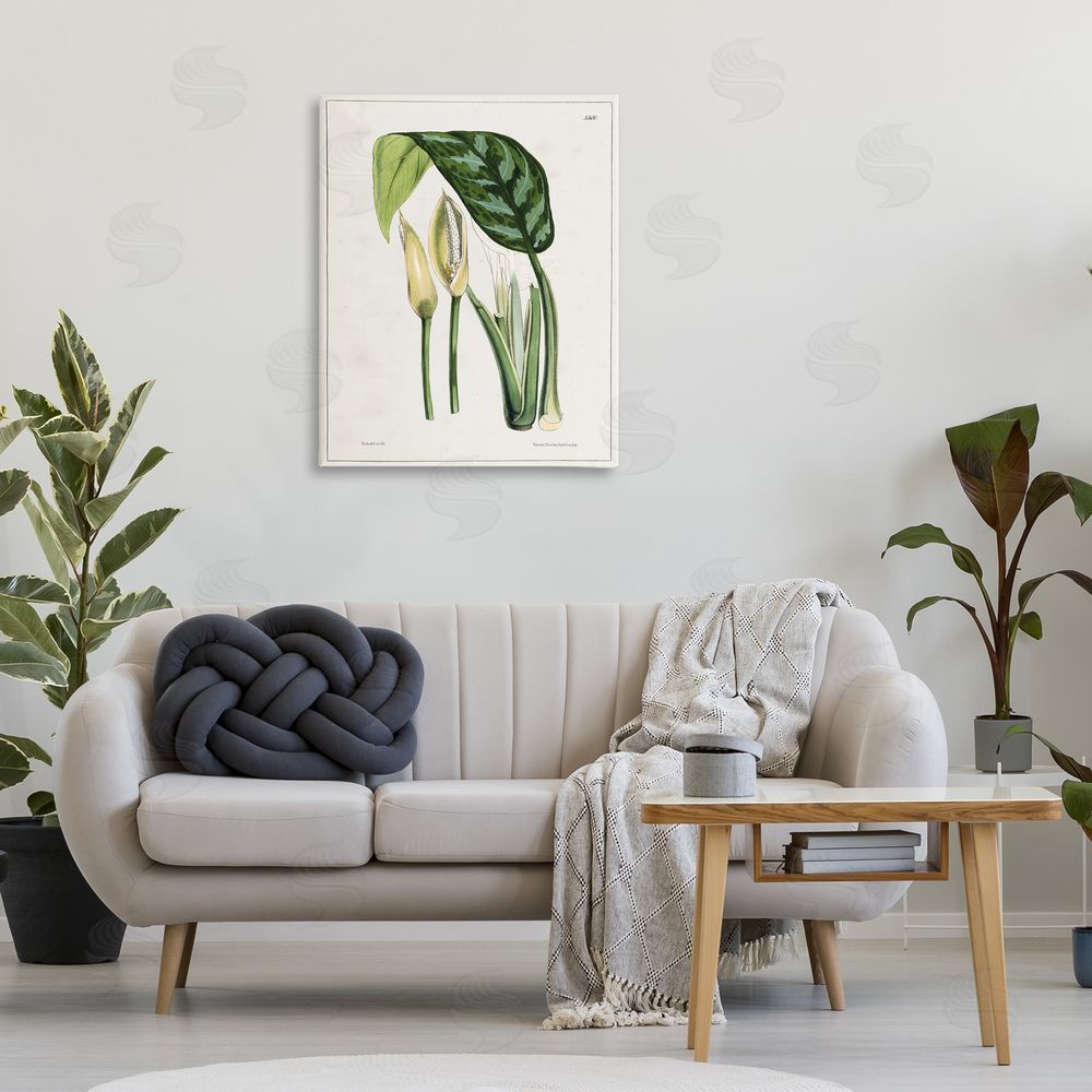 Tina Higgins Designs Inc. Pond Plant Study Canvas Wall Art Print in Room
