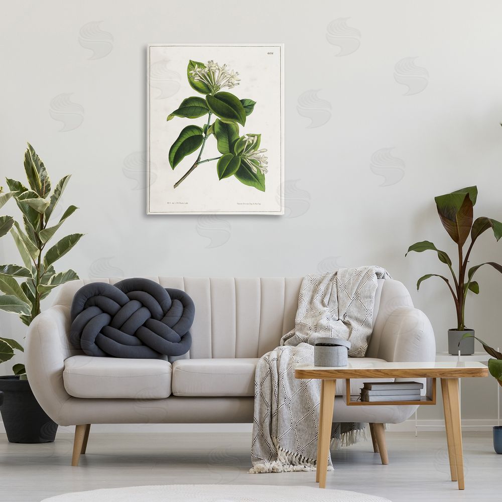 Tina Higgins Designs Inc. Blooming Vintage Study Canvas Wall Art Print in Room