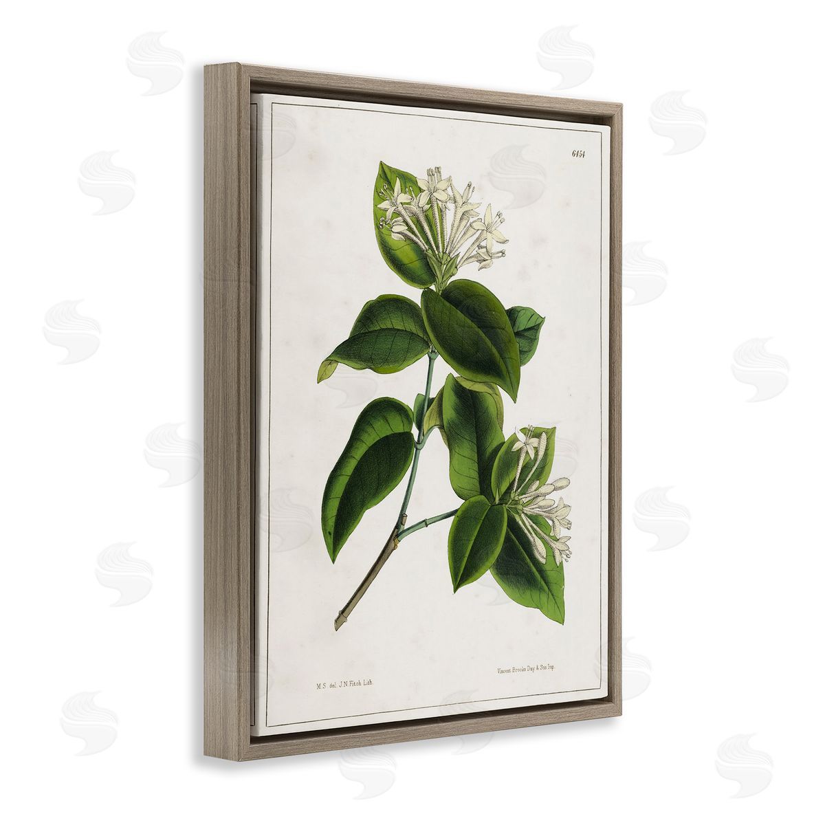 Tina Higgins Designs Inc. Blooming Vintage Study Brown Floating Frame Canvas Wall Art Print