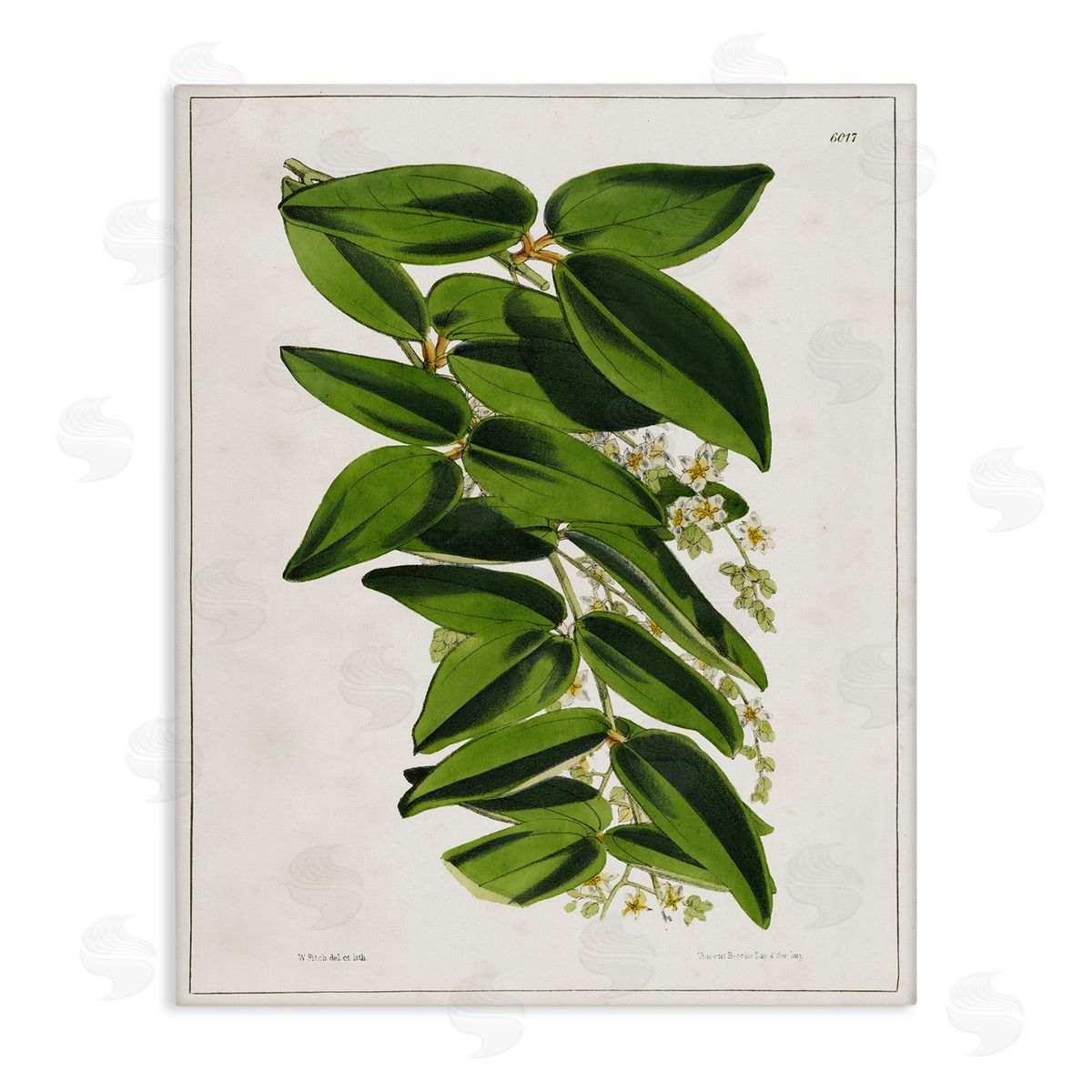 Tina Higgins Designs Inc. Stacked Leaves Botanical Canvas Wall Art Print