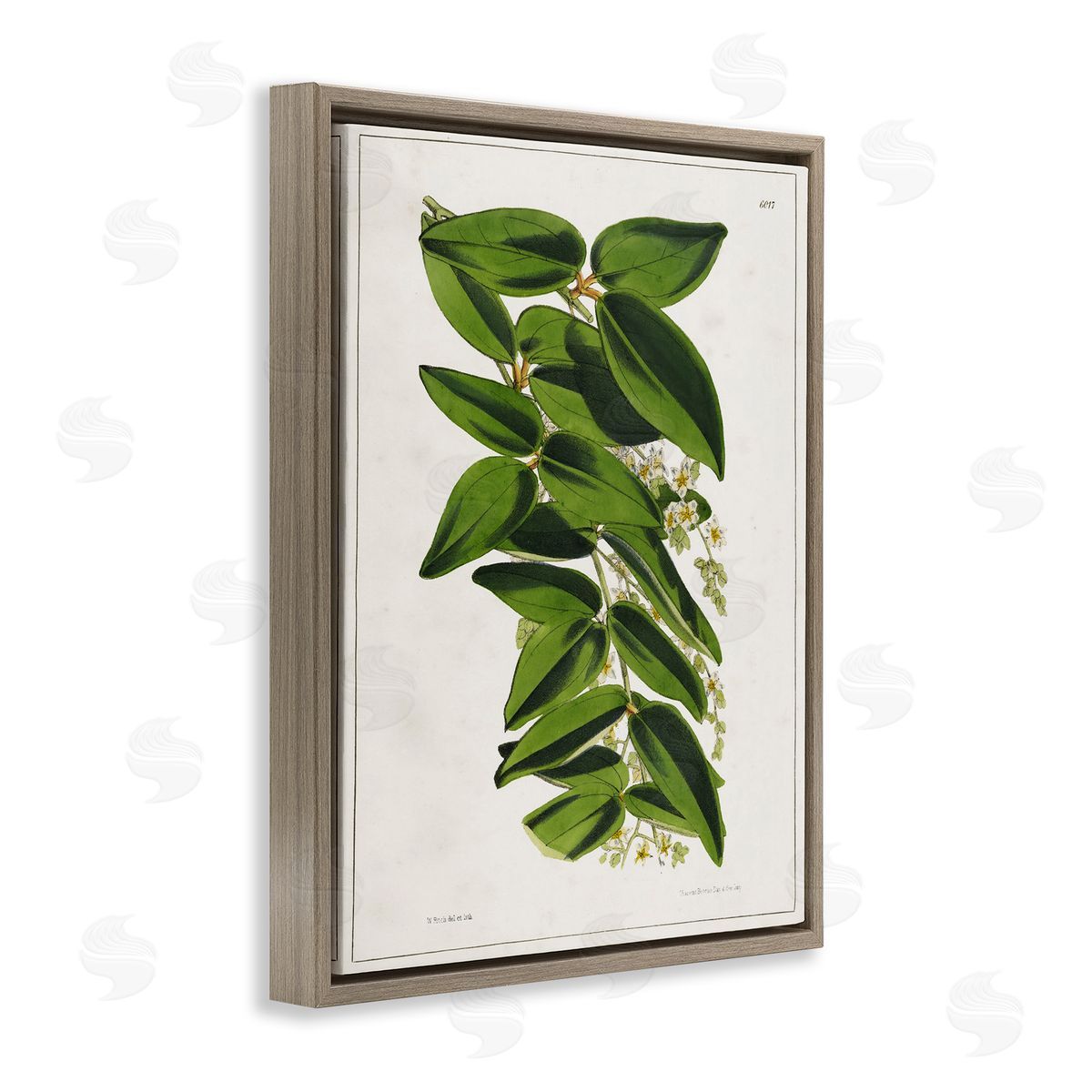 Tina Higgins Designs Inc. Stacked Leaves Botanical Brown Floating Frame Canvas Wall Art Print