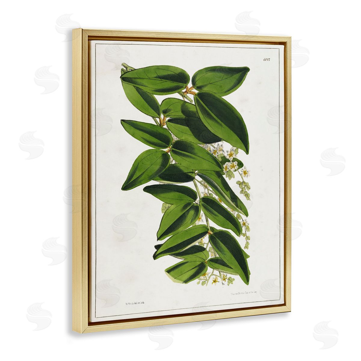 Tina Higgins Designs Inc. Stacked Leaves Botanical Gold Floating Frame Canvas Wall Art Print