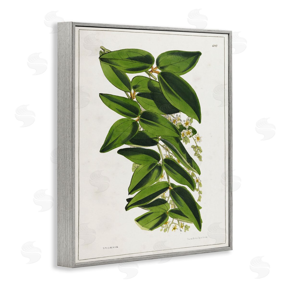 Tina Higgins Designs Inc. Stacked Leaves Botanical Gray Framed Giclee Wall Art Print