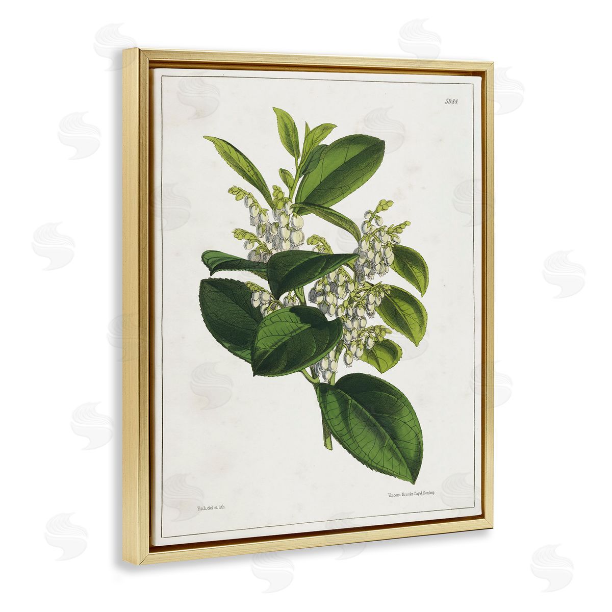 Tina Higgins Designs Inc. Forest Nature Botanical Gold Floating Frame Canvas Wall Art Print