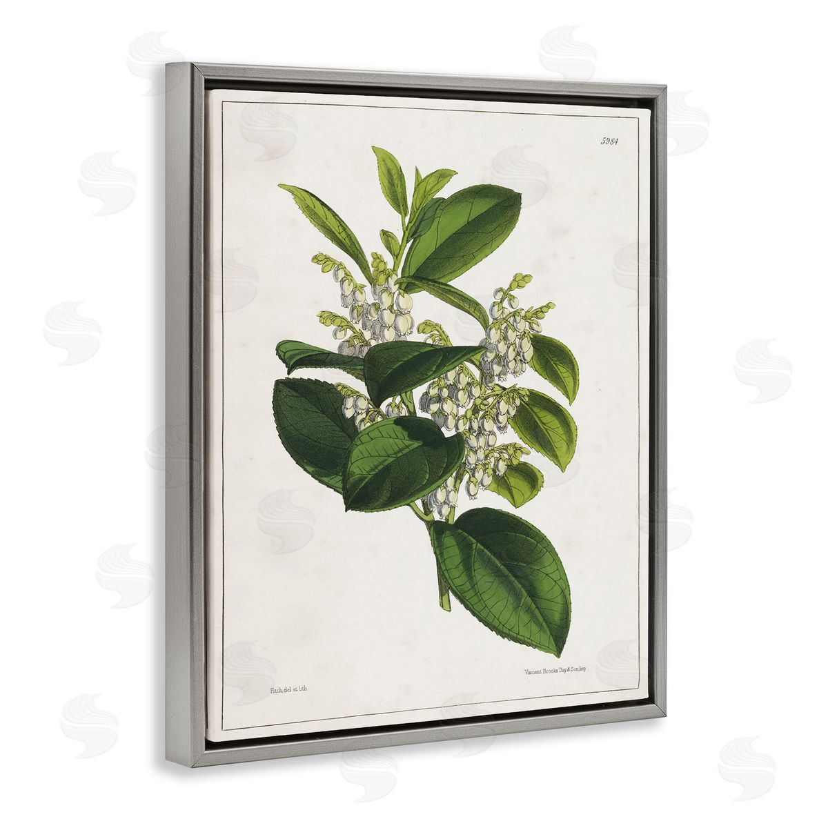 Tina Higgins Designs Inc. Forest Nature Botanical Gray Floating Frame Canvas Wall Art Print