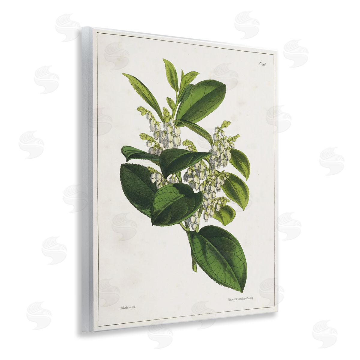 Tina Higgins Designs Inc. Forest Nature Botanical Wooden Wall Plaque Art Print