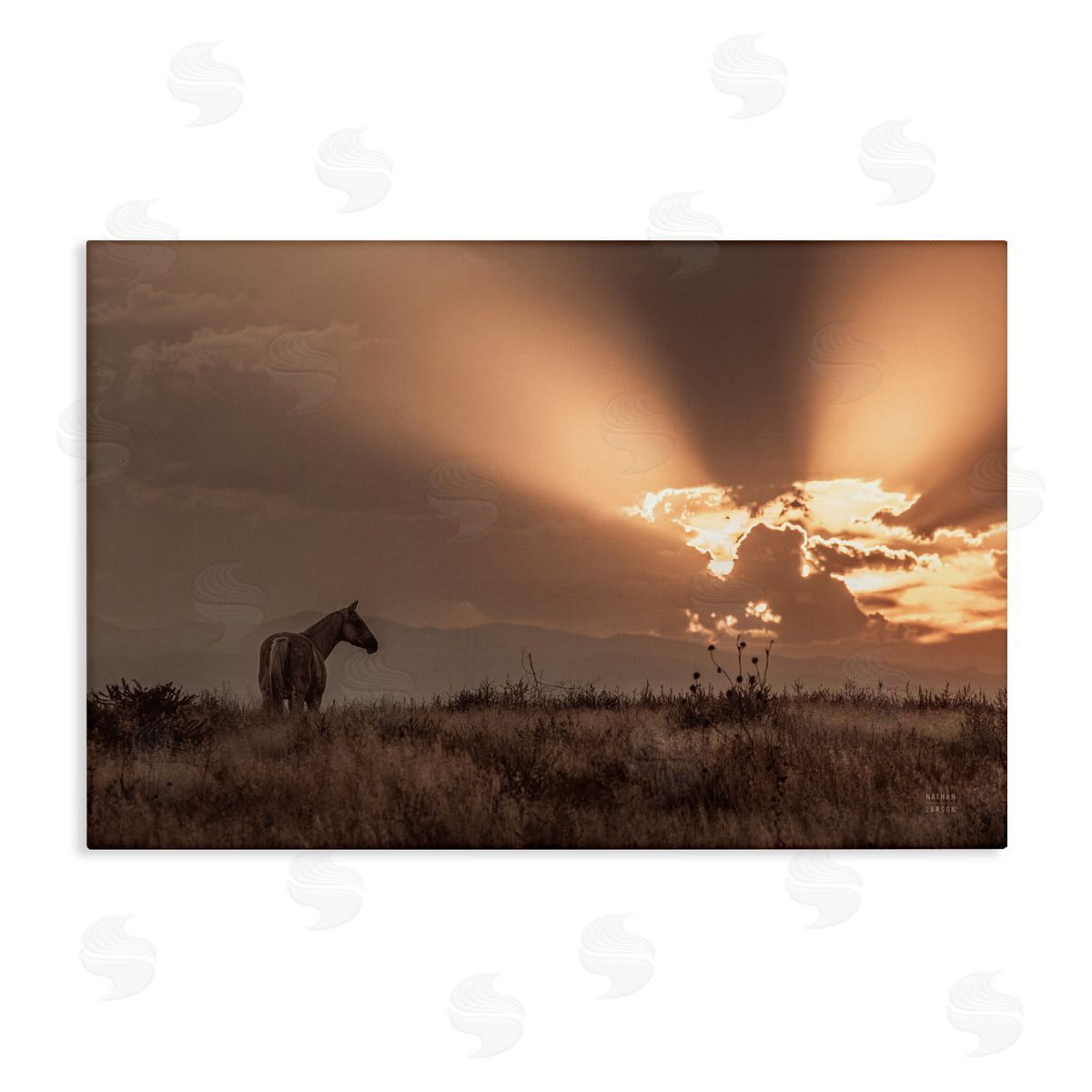 Nathan Larson Faded Sunset with Horse Canvas Wall Art Print