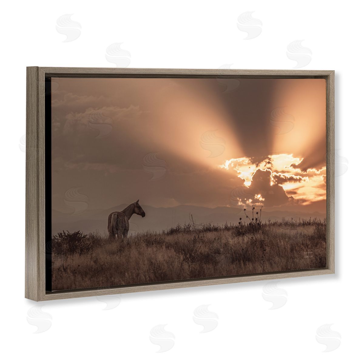 Nathan Larson Faded Sunset with Horse Brown Floating Frame Canvas Wall Art Print