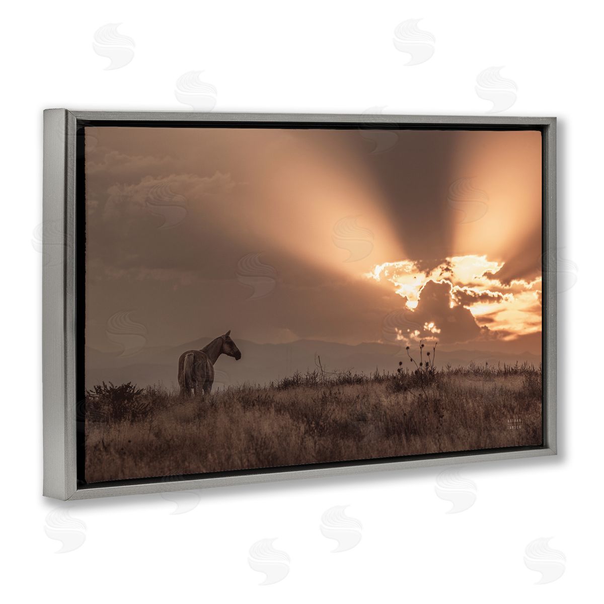 Nathan Larson Faded Sunset with Horse Gray Floating Frame Canvas Wall Art Print