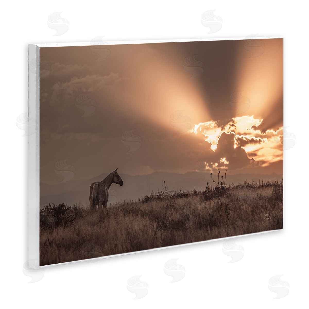 Nathan Larson Faded Sunset with Horse Wooden Wall Plaque Art Print