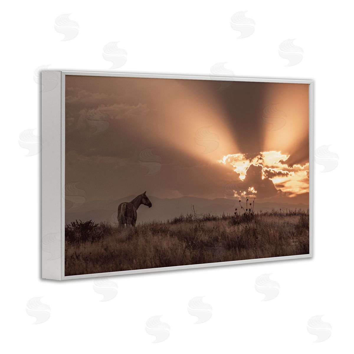 Nathan Larson Faded Sunset with Horse White Framed Giclee Wall Art Print