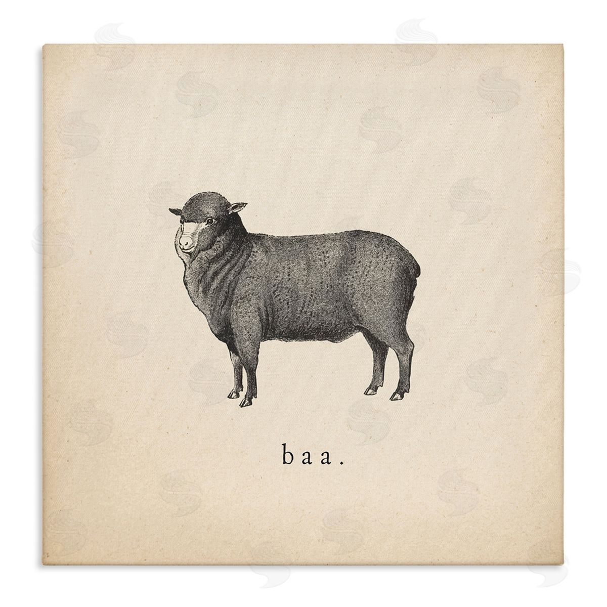 Wild Apple Portfolio Baa Farm Sheep Sounds Canvas Wall Art Print
