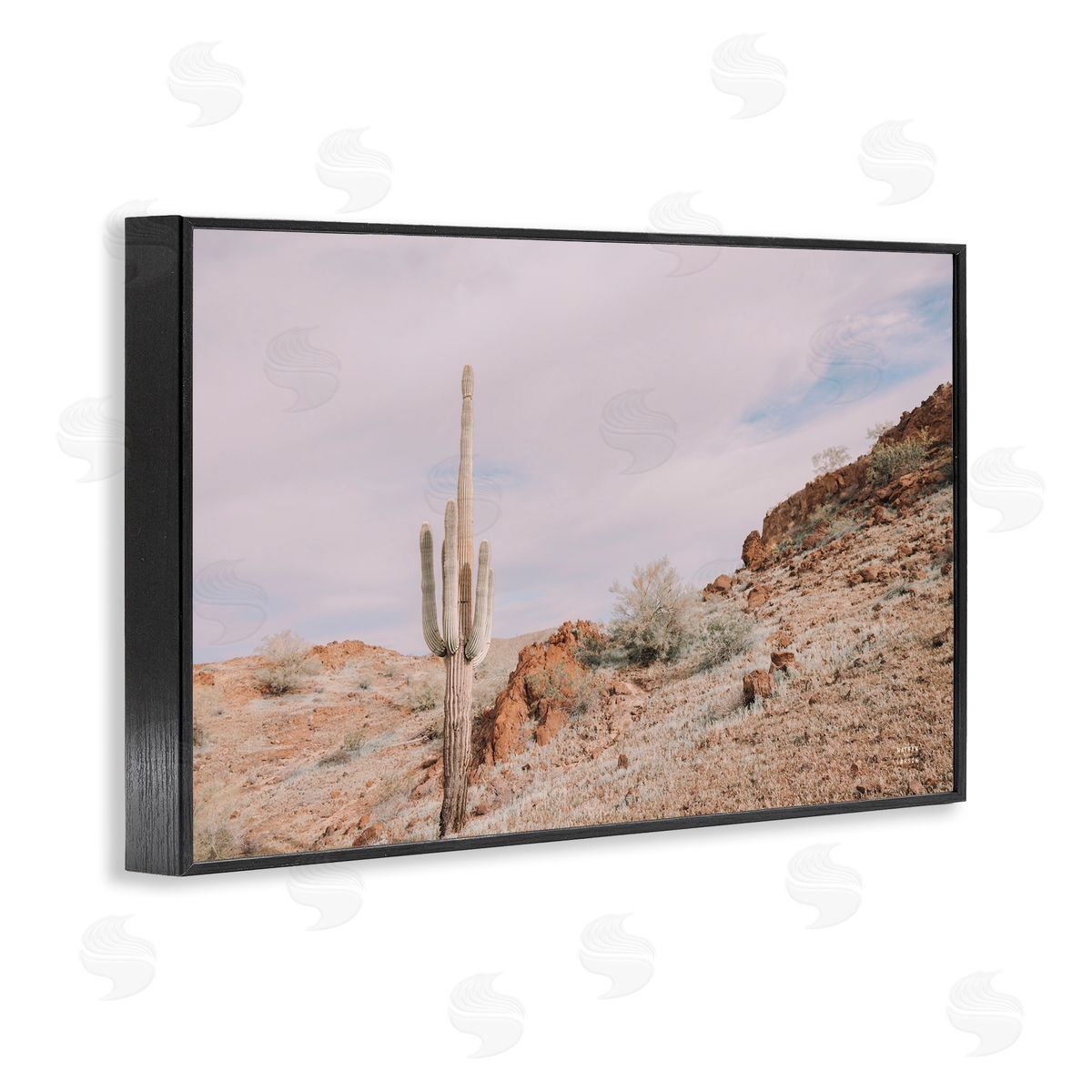 Nathan Larson The Climb Desertscape Black Framed Giclee Wall Art Print