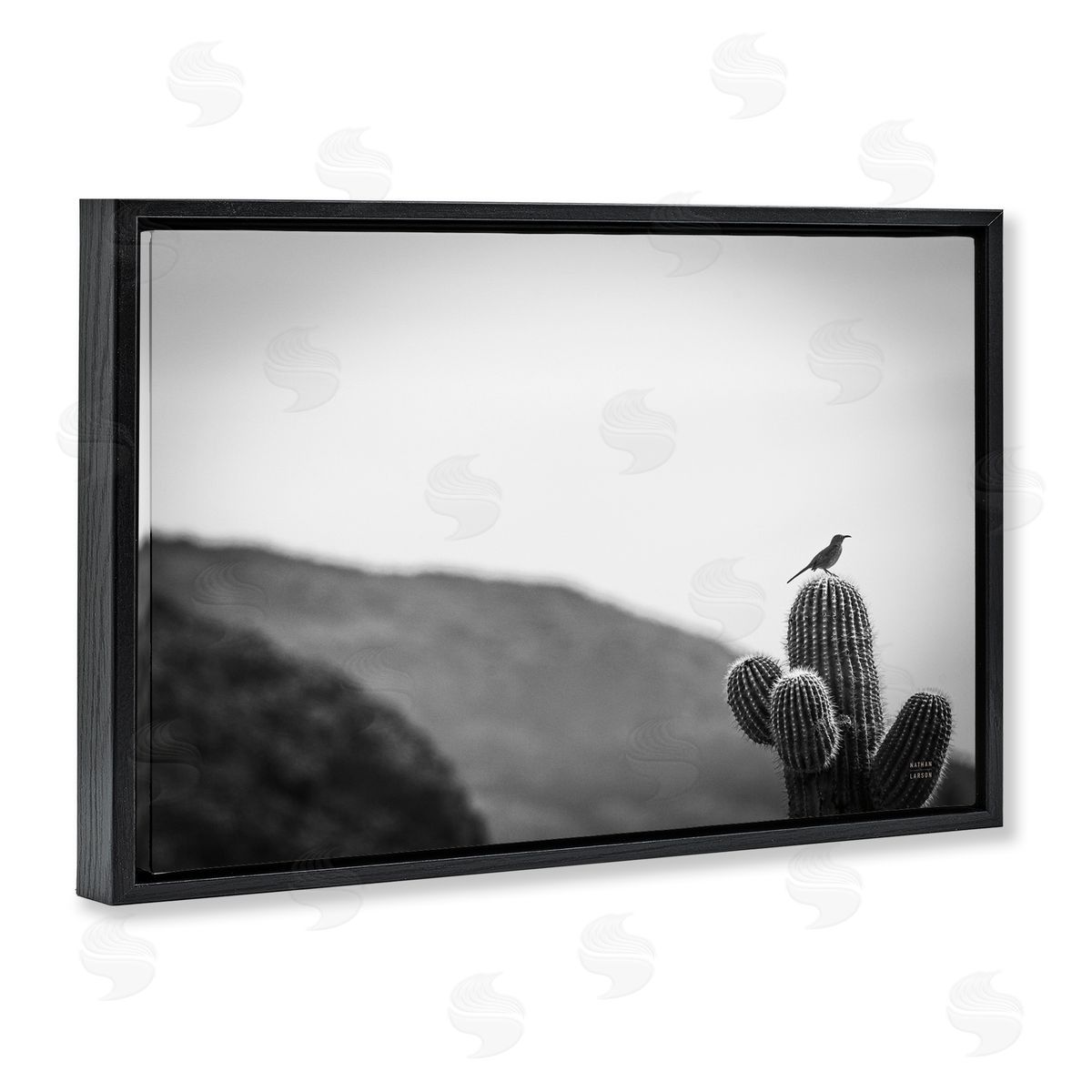 Nathan Larson On Guard Bird & Cactus Black Floating Frame Canvas Wall Art Print