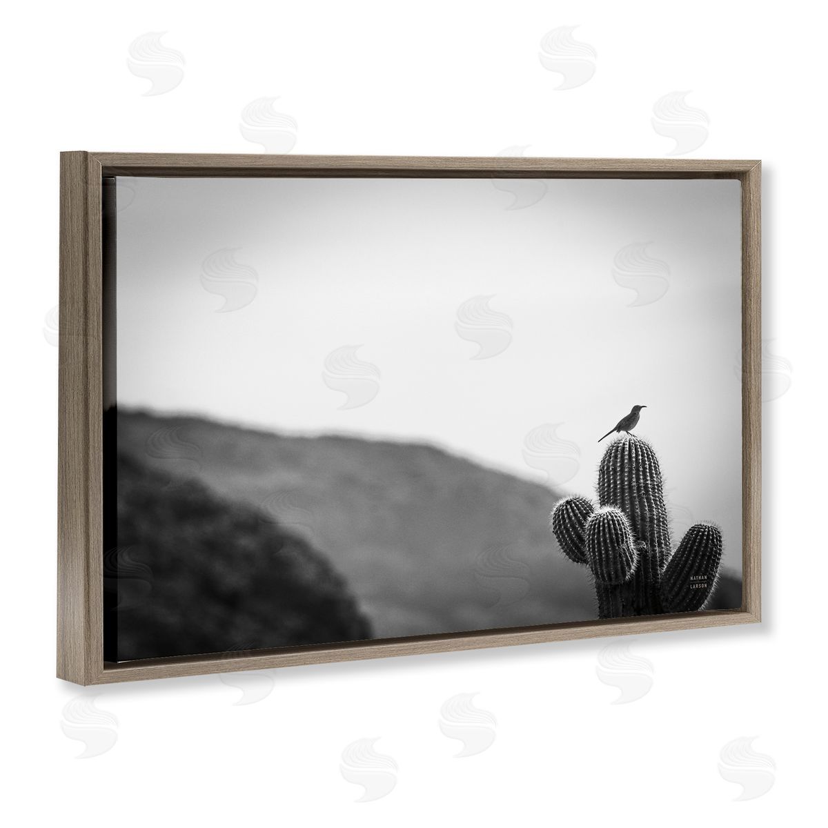 Nathan Larson On Guard Bird & Cactus Brown Floating Frame Canvas Wall Art Print