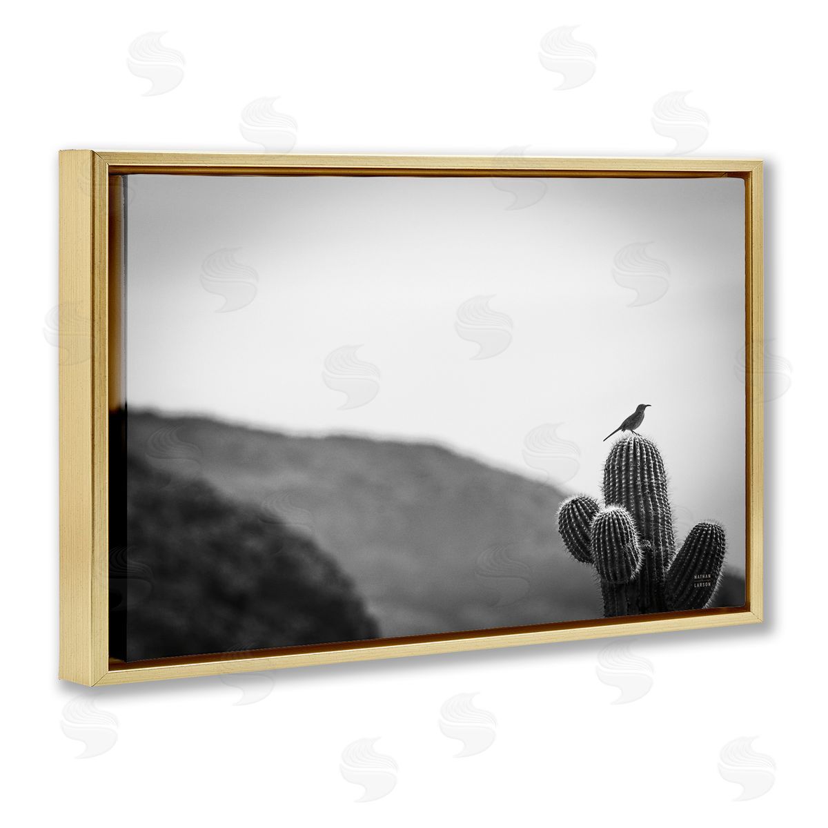 Nathan Larson On Guard Bird & Cactus Gold Floating Frame Canvas Wall Art Print