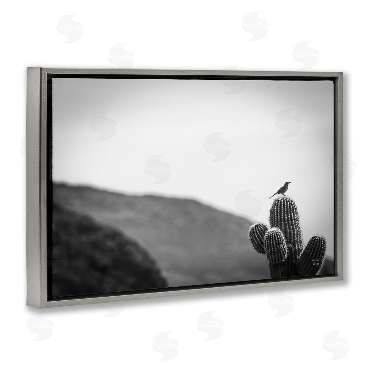 Nathan Larson On Guard Bird & Cactus Gray Floating Frame Canvas Wall Art Print