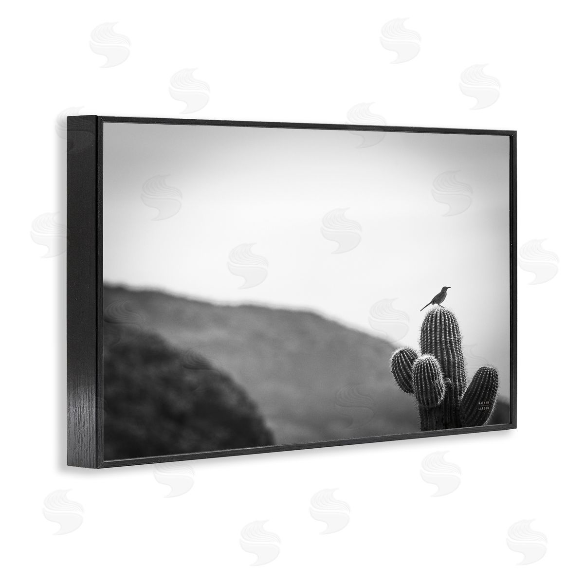 Nathan Larson On Guard Bird & Cactus Black Framed Giclee Wall Art Print