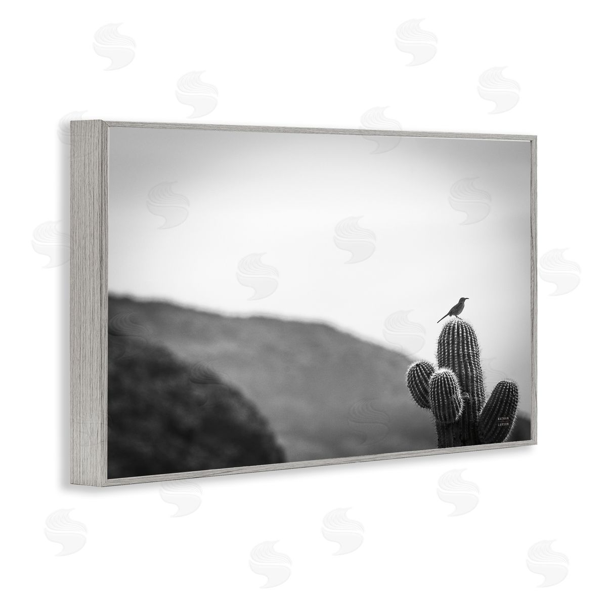 Nathan Larson On Guard Bird & Cactus Gray Framed Giclee Wall Art Print