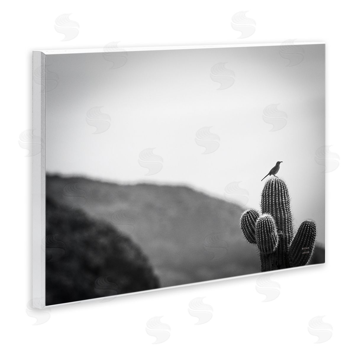Nathan Larson On Guard Bird & Cactus Wooden Wall Plaque Art Print