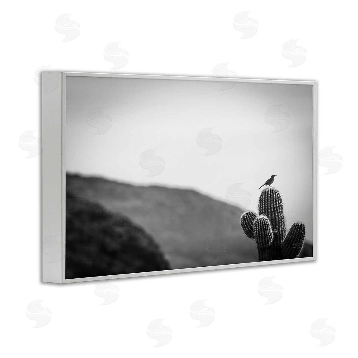 Nathan Larson On Guard Bird & Cactus White Framed Giclee Wall Art Print