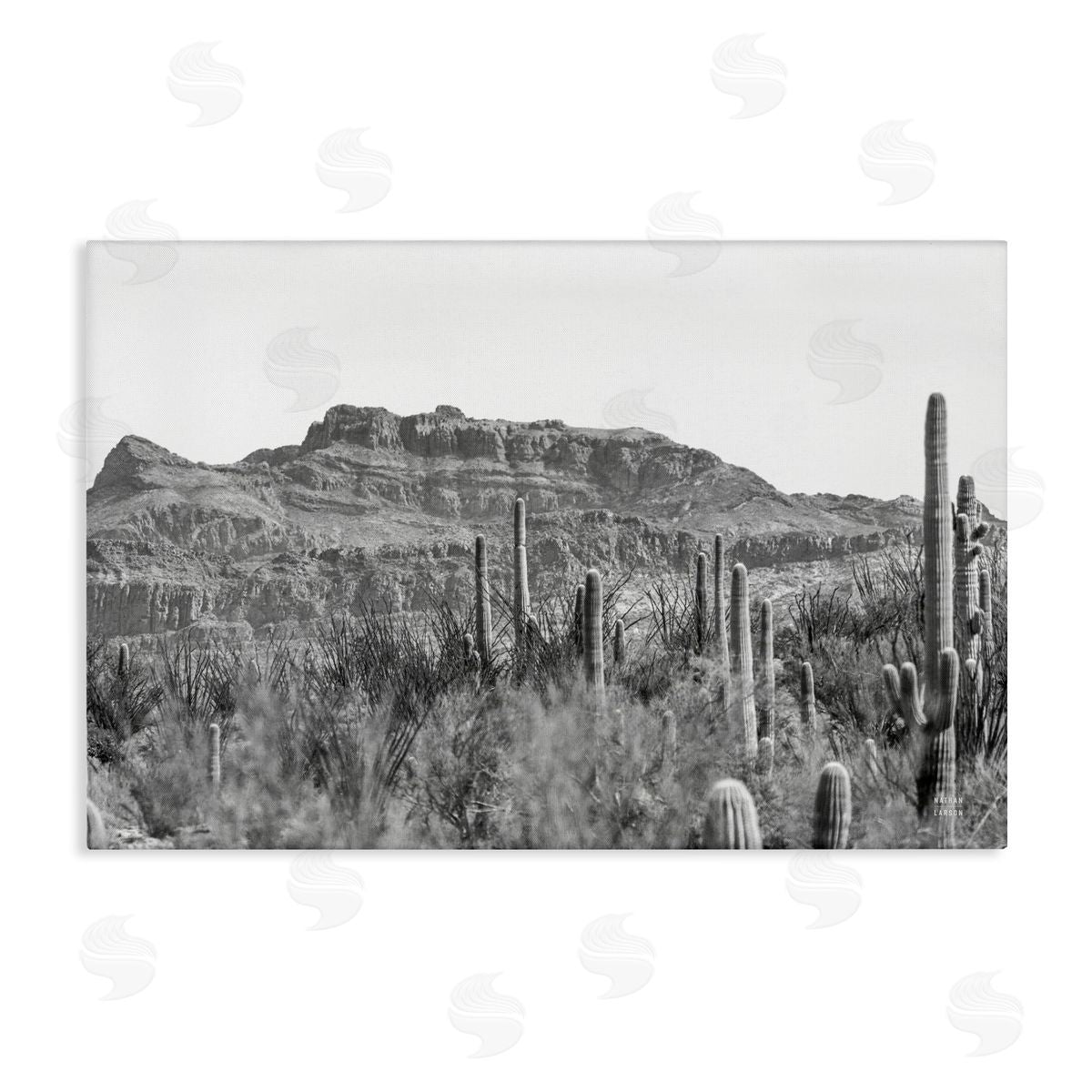 Nathan Larson American Borderlands Desertscape Canvas Wall Art Print