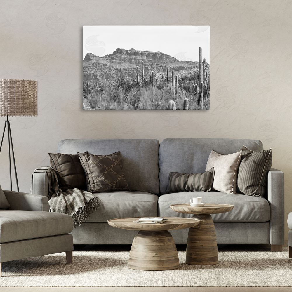Nathan Larson American Borderlands Desertscape Canvas Wall Art Print in Room