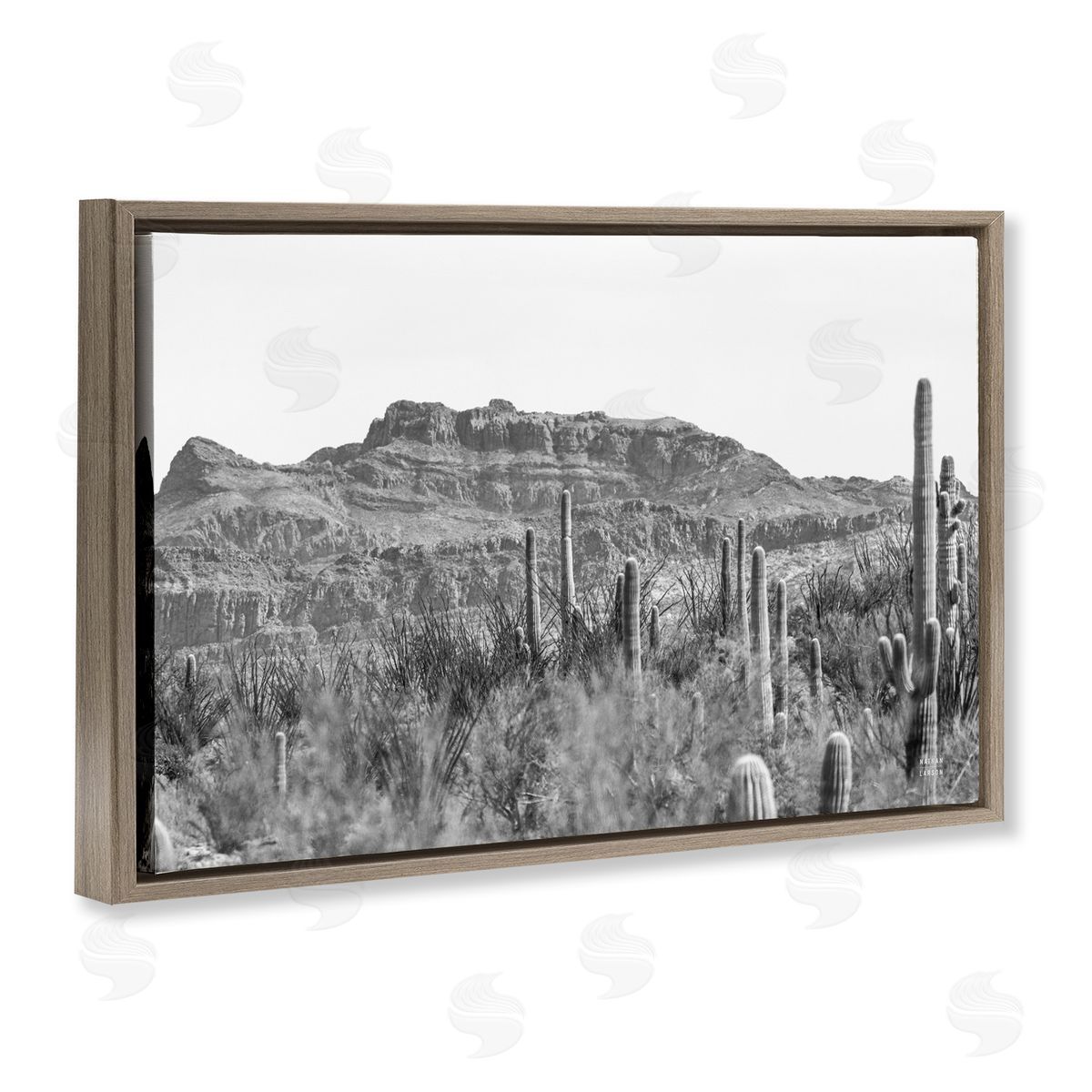 Nathan Larson American Borderlands Desertscape Brown Floating Frame Canvas Wall Art Print