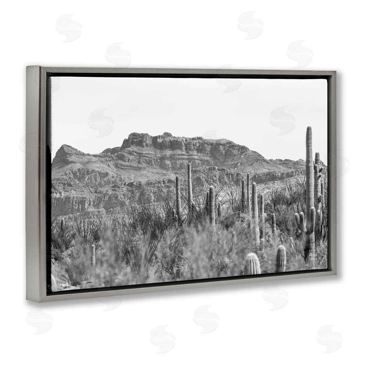 Nathan Larson American Borderlands Desertscape Gray Floating Frame Canvas Wall Art Print