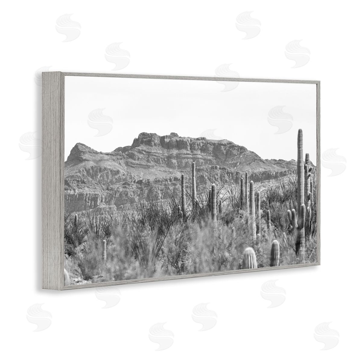 Nathan Larson American Borderlands Desertscape Gray Framed Giclee Wall Art Print