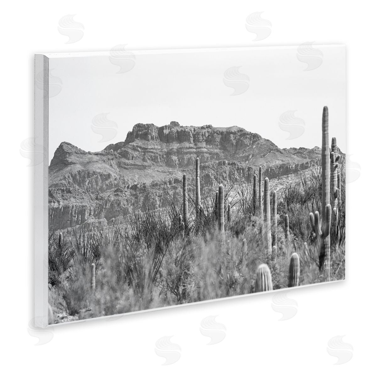 Nathan Larson American Borderlands Desertscape Wooden Wall Plaque Art Print