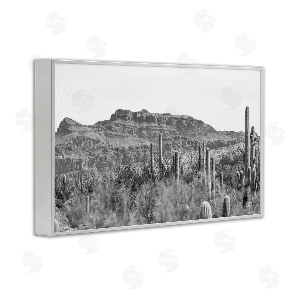Nathan Larson American Borderlands Desertscape White Framed Giclee Wall Art Print