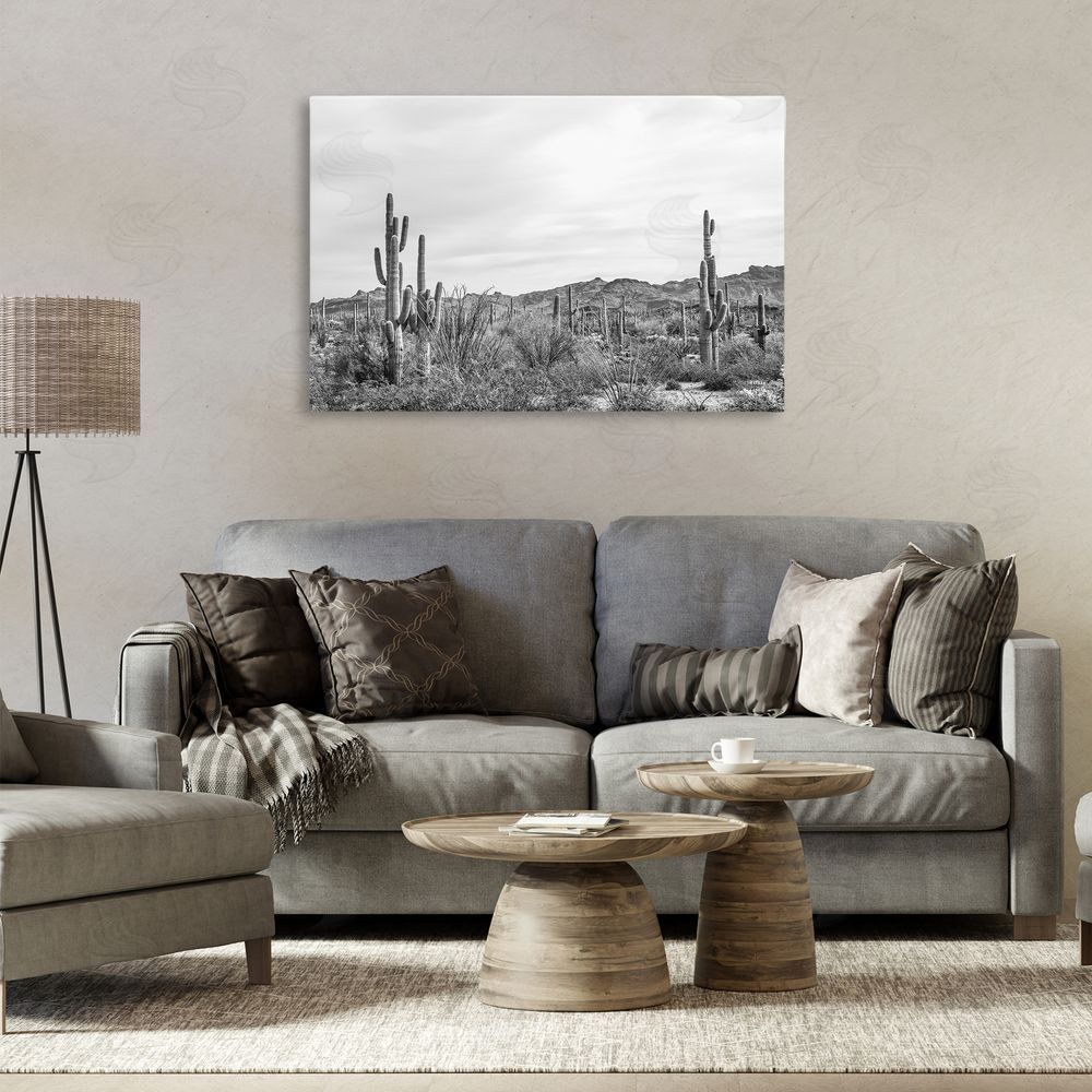 Nathan Larson Sonoran Desert Wonderland Canvas Wall Art Print in Room