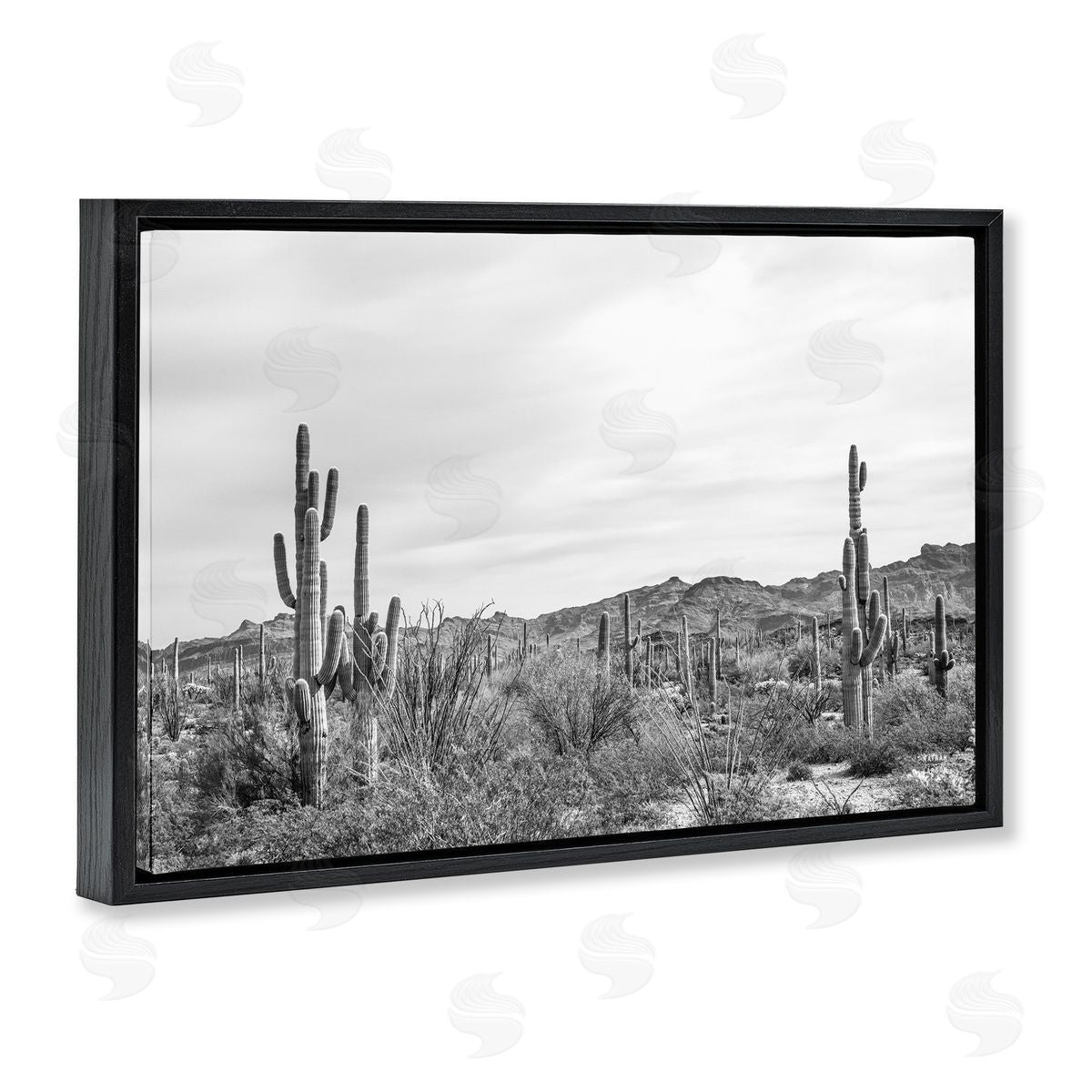 Nathan Larson Sonoran Desert Wonderland Black Floating Frame Canvas Wall Art Print