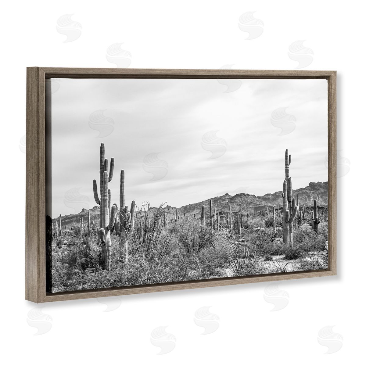 Nathan Larson Sonoran Desert Wonderland Brown Floating Frame Canvas Wall Art Print