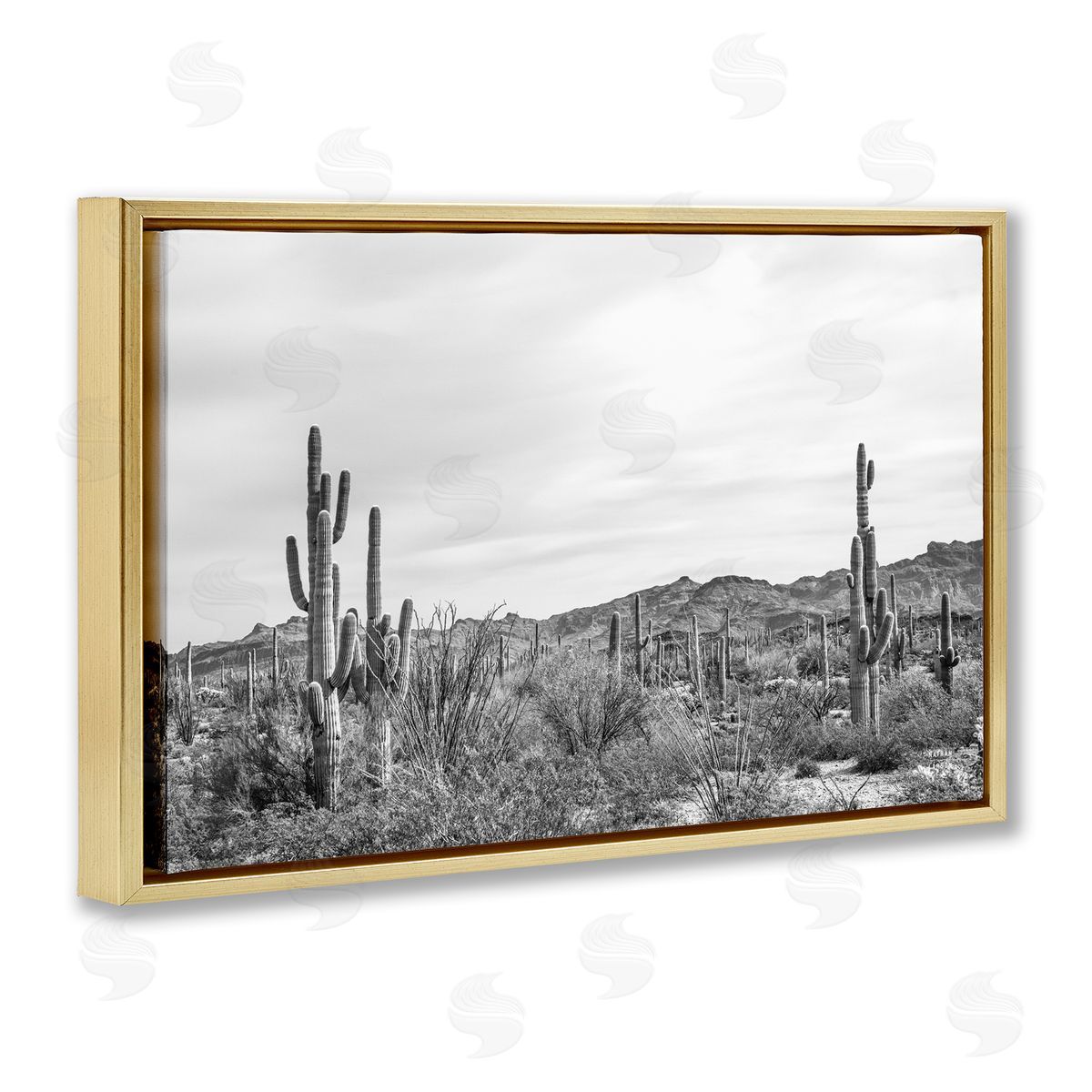 Nathan Larson Sonoran Desert Wonderland Gold Floating Frame Canvas Wall Art Print