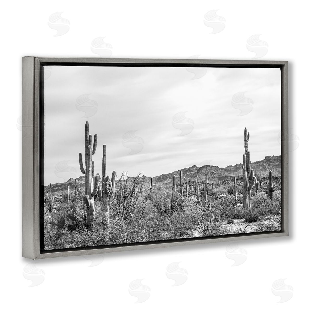 Nathan Larson Sonoran Desert Wonderland Gray Floating Frame Canvas Wall Art Print