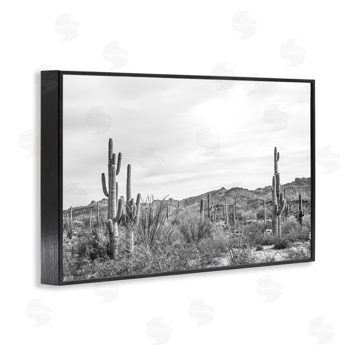 Nathan Larson Sonoran Desert Wonderland Black Framed Giclee Wall Art Print