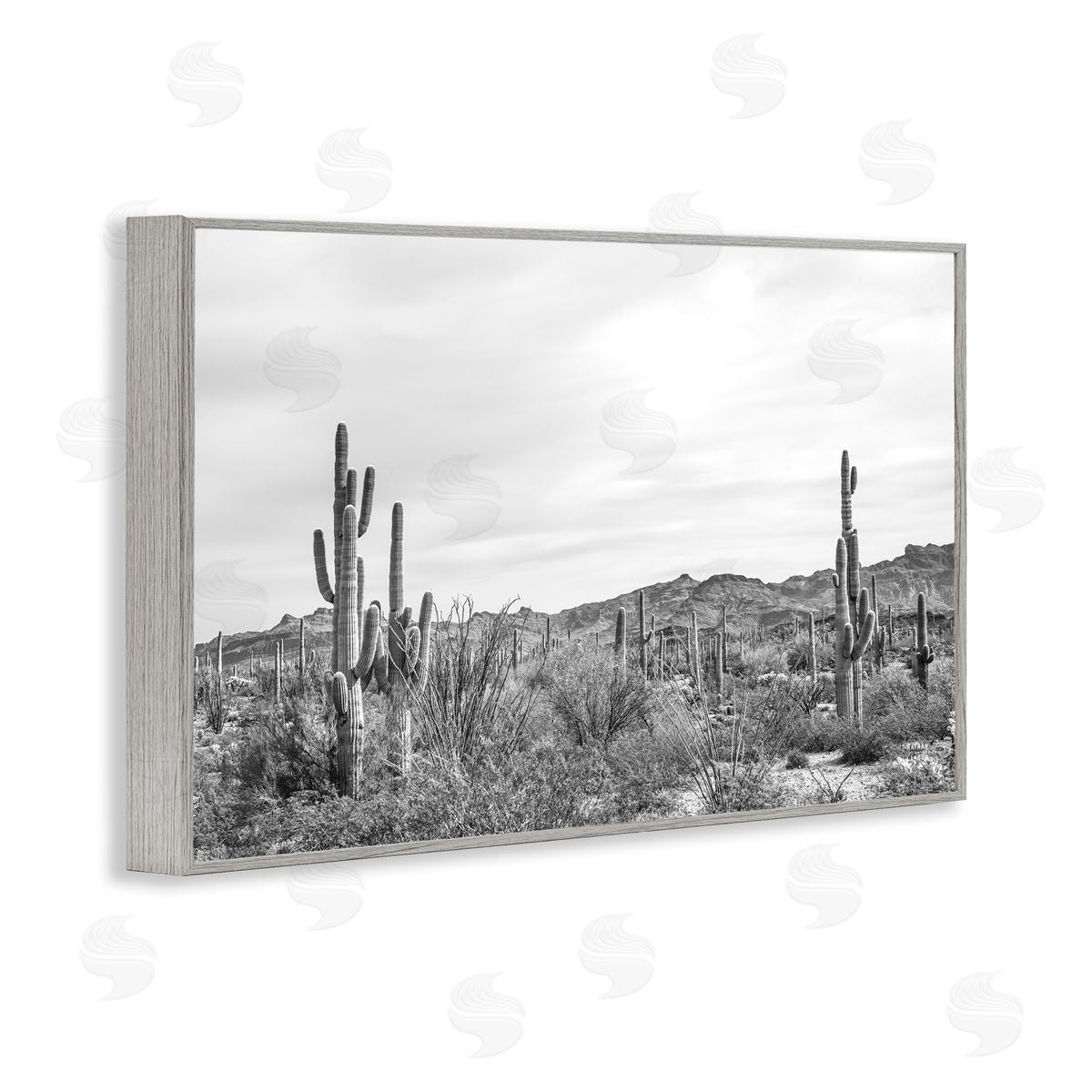 Nathan Larson Sonoran Desert Wonderland Gray Framed Giclee Wall Art Print