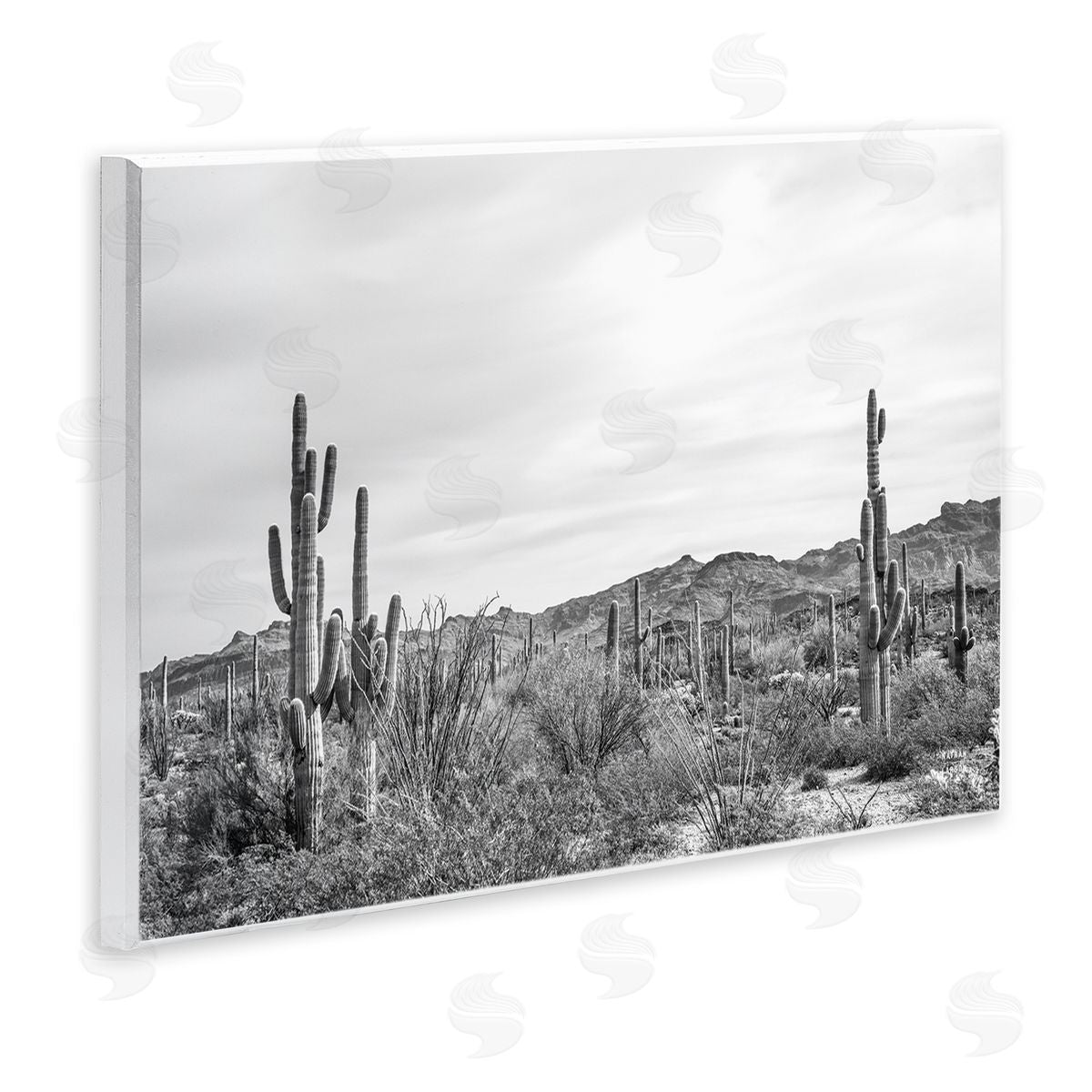 Nathan Larson Sonoran Desert Wonderland Wooden Wall Plaque Art Print