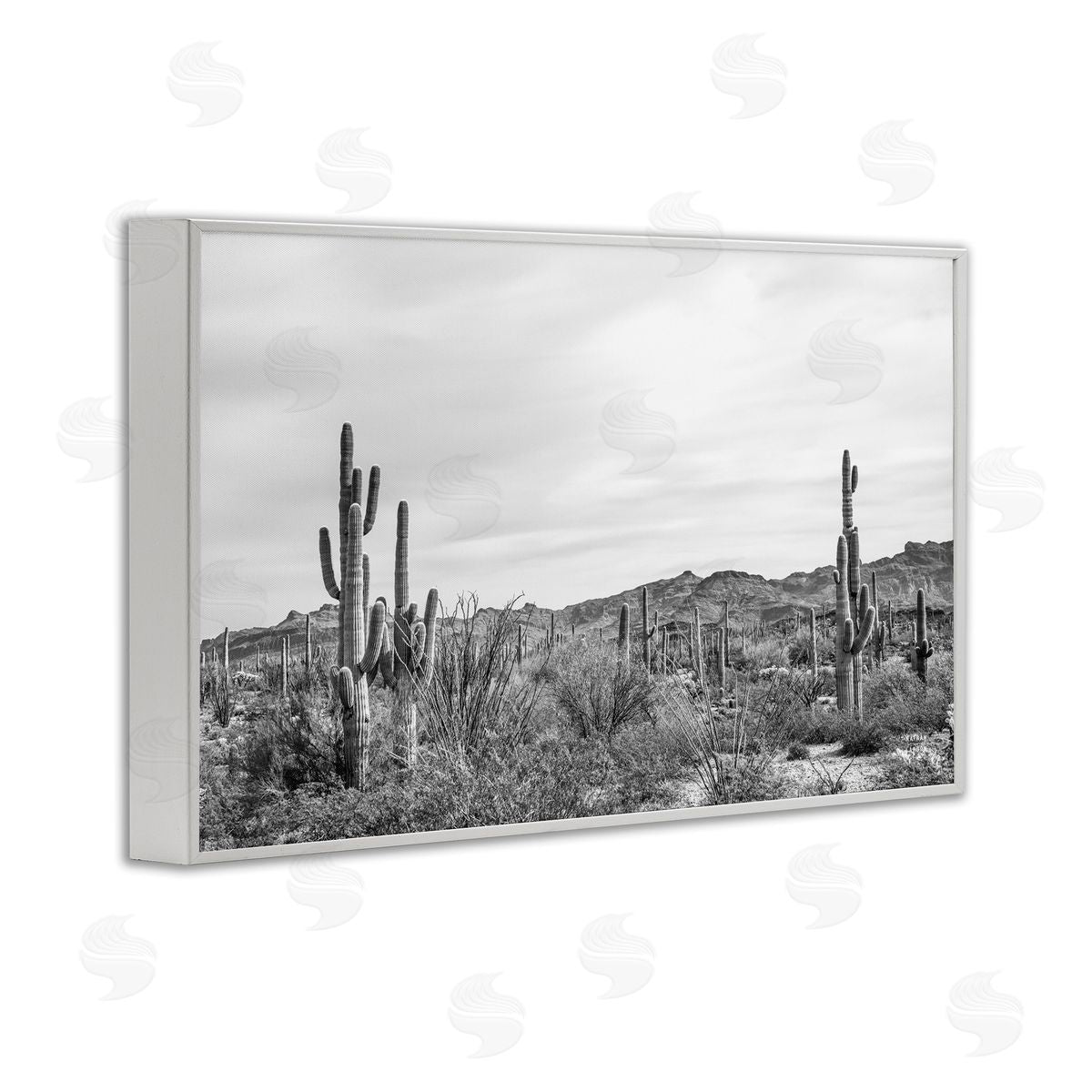 Nathan Larson Sonoran Desert Wonderland White Framed Giclee Wall Art Print