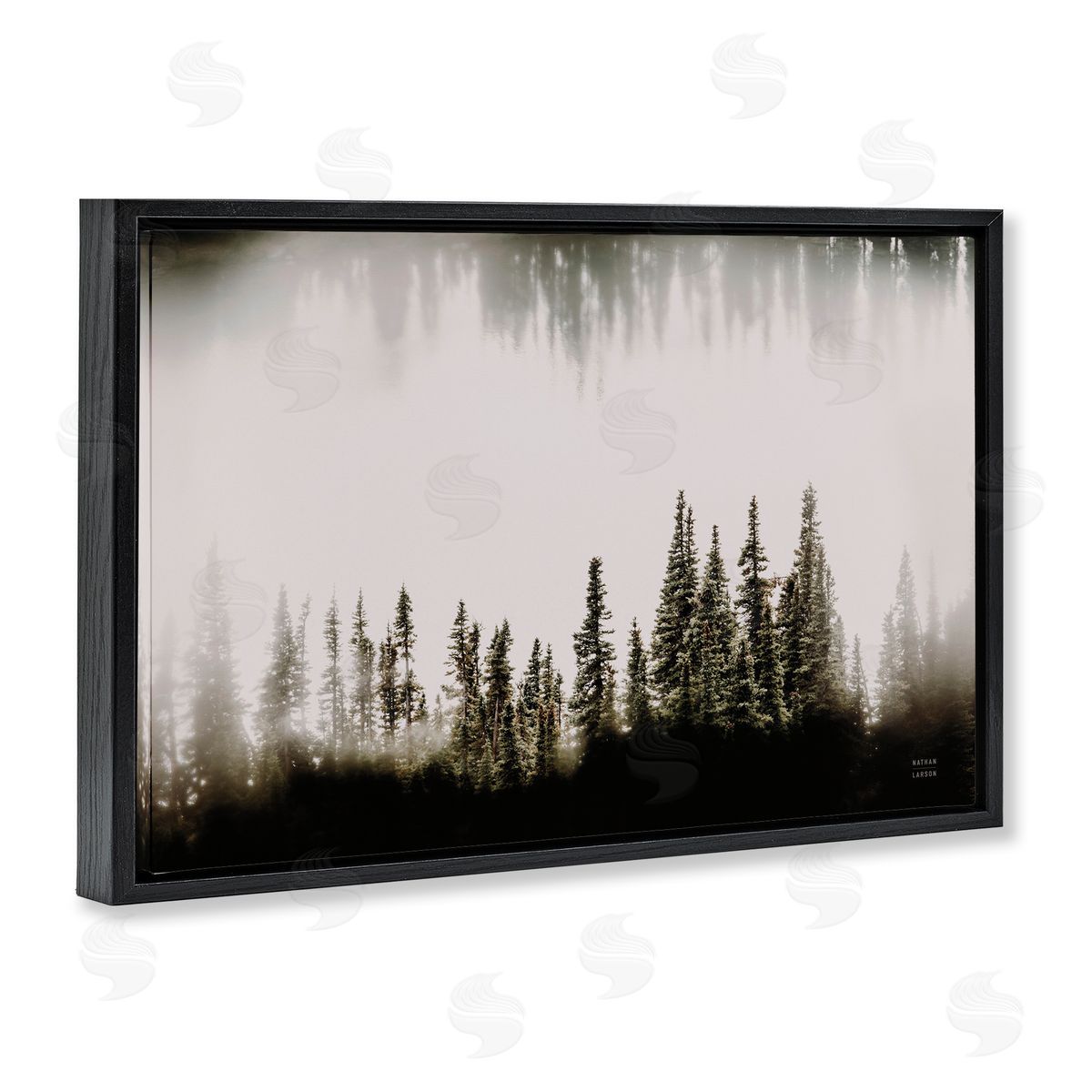 Nathan Larson Waterwood Tree Composition Black Floating Frame Canvas Wall Art Print