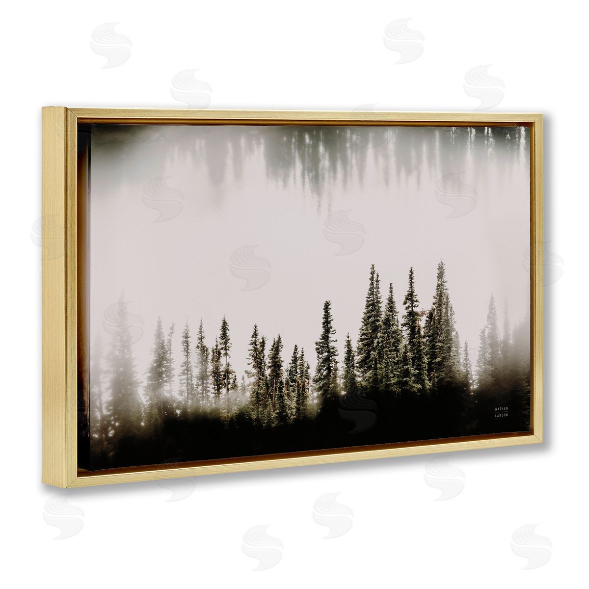 Nathan Larson Waterwood Tree Composition Gold Floating Frame Canvas Wall Art Print